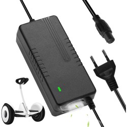 HB90 CHARGEUR HOVERBOARD 42V 2000mA