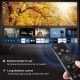 IR1316 COMMANDE SAMSUNG 4K