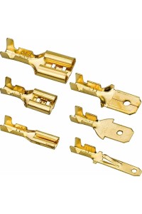 COSSE PLAT ROND MÂLE ET FEMALE