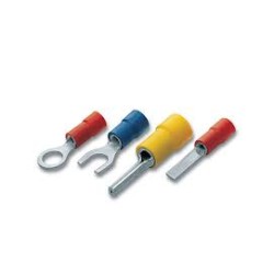 COSSE PLAT ROND MÂLE ET FEMALE